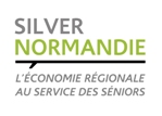 Logo Silver Normandie variantes 4