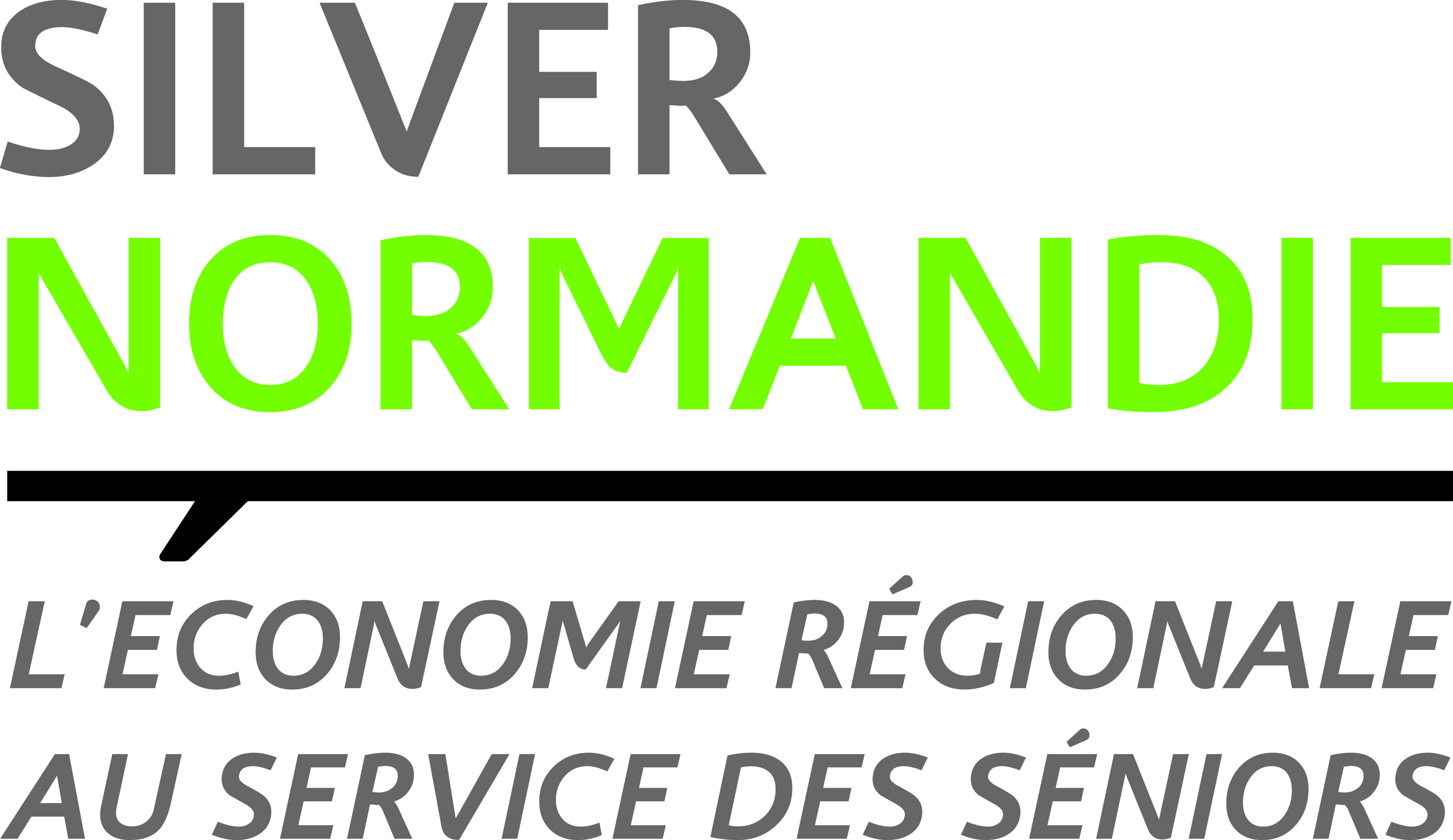 Logo Silver Normandie variantes 4